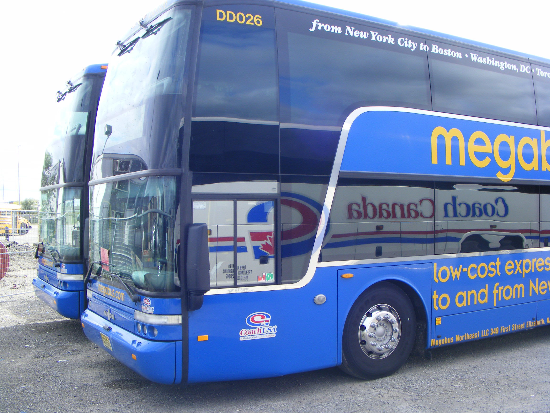 Canada SHOWBUS International BUS IMAGE GALLERY Megabus